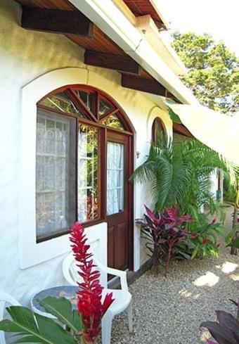Hotel Flores (Adults Only) Tamarindo Bilik gambar