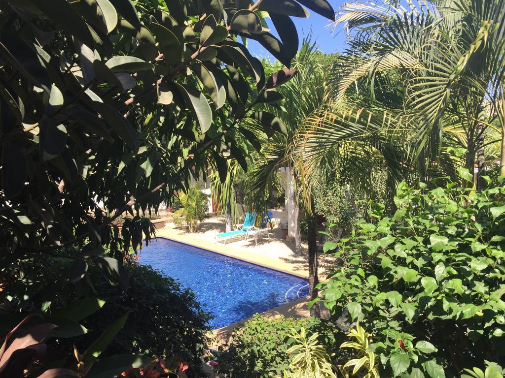 Hotel Flores (Adults Only) Tamarindo Luaran gambar