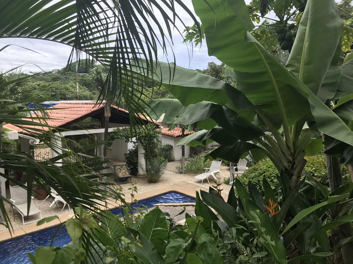 Hotel Flores (Adults Only) Tamarindo Luaran gambar
