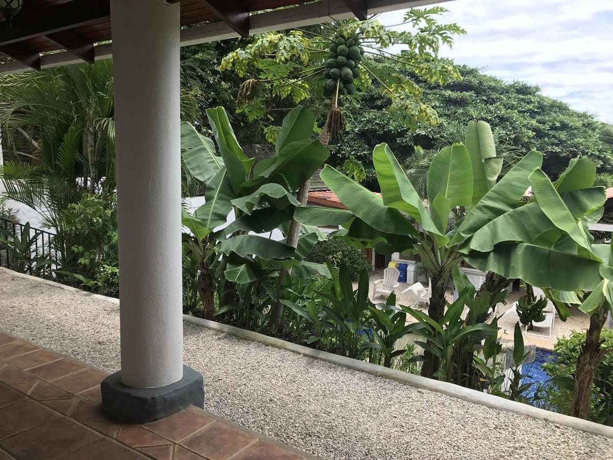 Hotel Flores (Adults Only) Tamarindo Luaran gambar